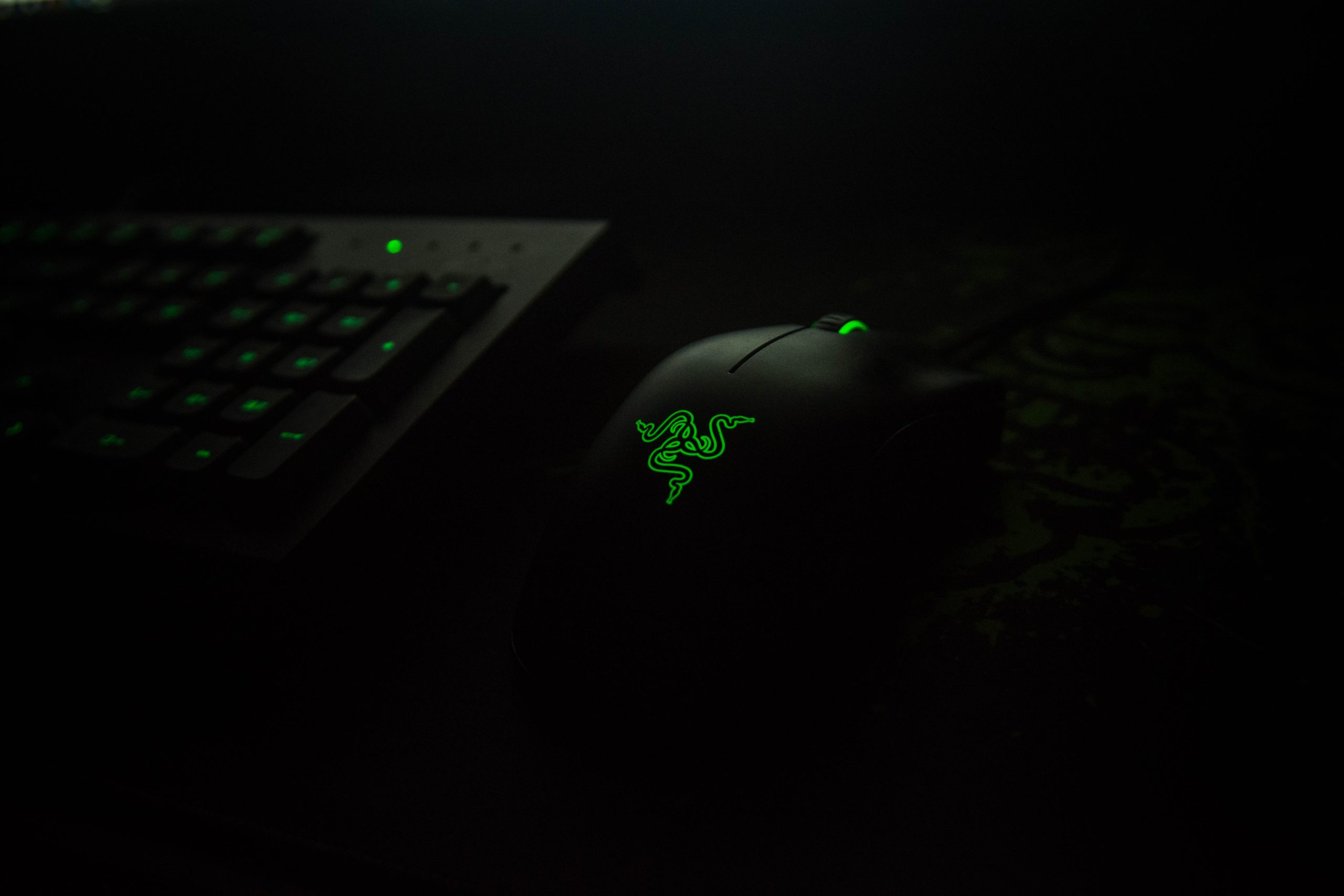 razer mouse